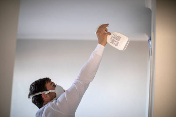 Best Certified Mold Removal  in Plandome, NY