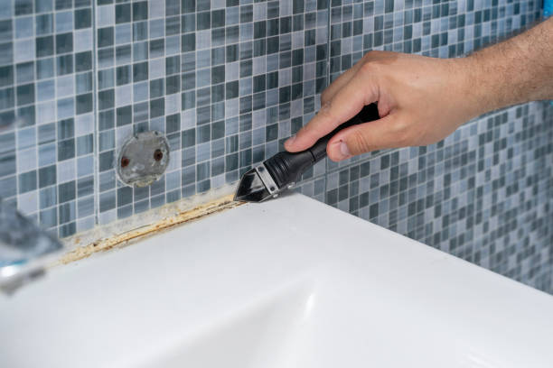 Best Local Mold Removal Service  in Plandome, NY