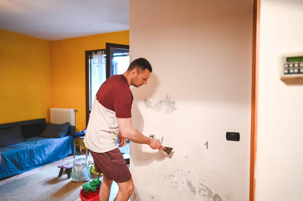 Best Toxic Mold Removal  in Plandome, NY